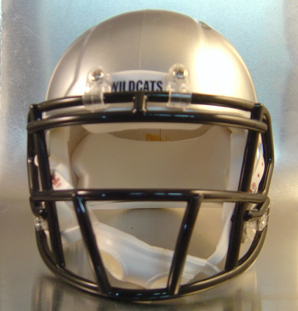 Paris Wildcats HS 2013 (TX)